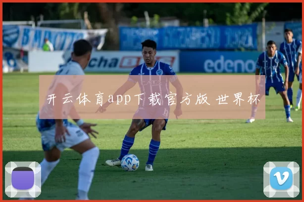 开云体育app下载官方版 世界杯