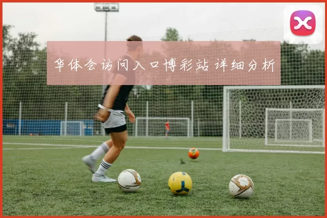 华体会访问入口博彩站 详细分析