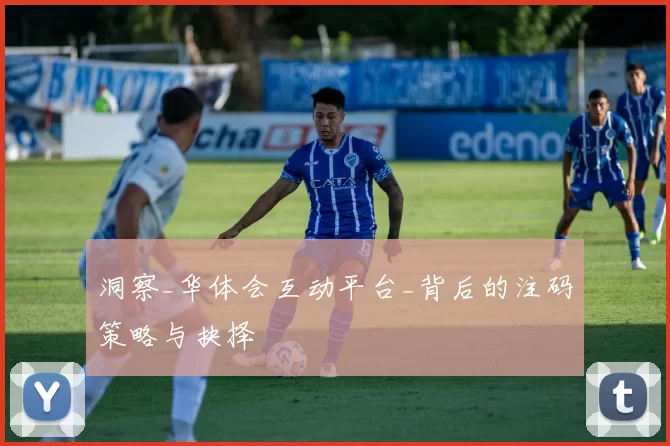 洞察_华体会互动平台_背后的注码策略与抉择