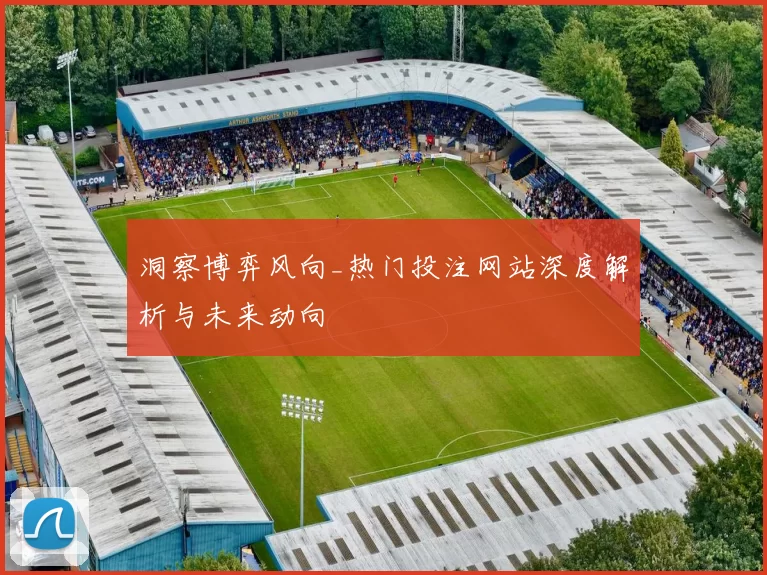 洞察博弈风向_热门投注网站深度解析与未来动向
