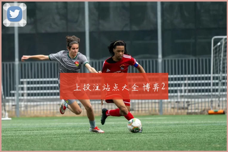 網上投注站点大全 博弈2