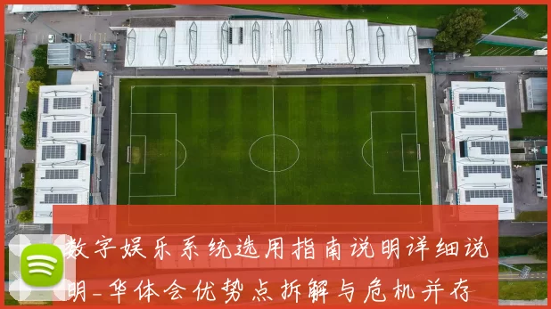 数字娱乐系统选用指南说明详细说明_华体会优势点拆解与危机并存