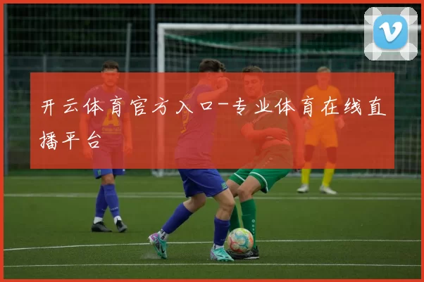 开云体育官方入口-专业体育在线直播平台