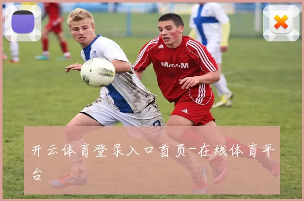 开云体育登录入口首页-在线体育平台