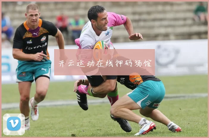 开云运动在线押码场馆