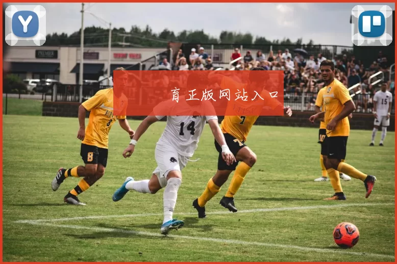 開雲體育正版网站入口