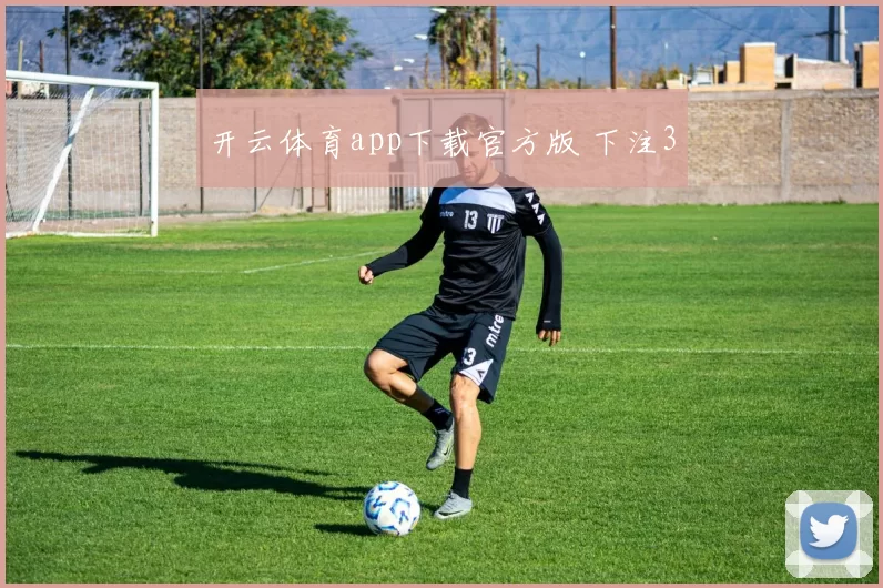 开云体育app下载官方版 下注3