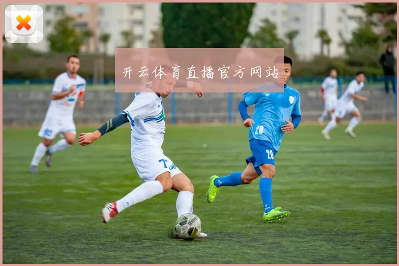 开云体育直播官方网站