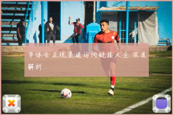 华体会正规渠道访问链接大全 深度解析