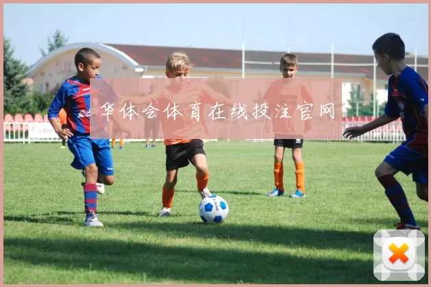 华体会体育在线投注官网