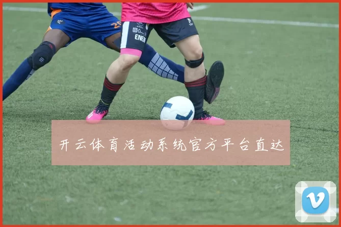开云体育活动系统官方平台直达