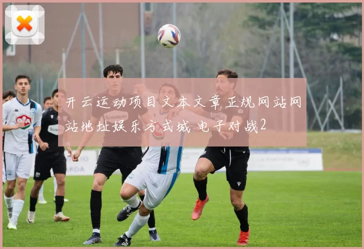 开云运动项目文本文章正规网站网站地址娱乐方式城 电子对战2