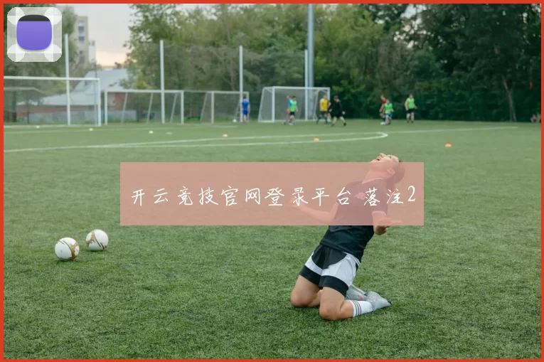 开云竞技官网登录平台 落注2