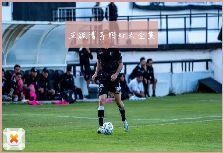 正版博弈网址大全集