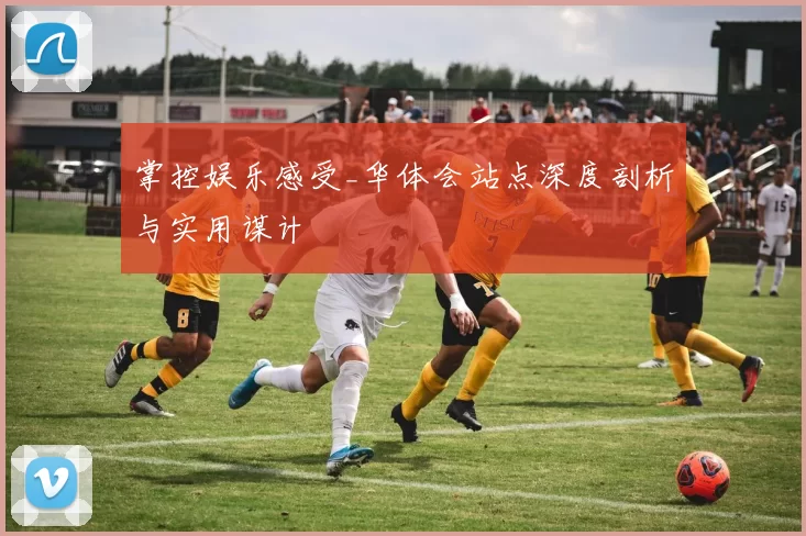 掌控娱乐感受_华体会站点深度剖析与实用谋计