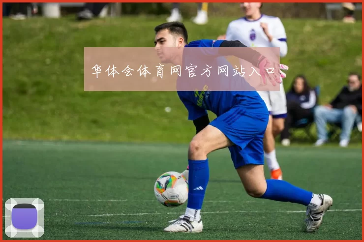 华体会体育网官方网站入口