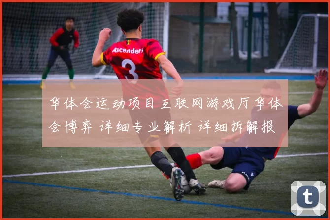 华体会运动项目互联网游戏厅华体会博弈 详细专业解析 详细拆解报告