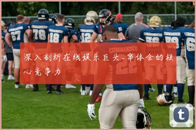 深入剖析在线娱乐巨头_华体会的核心竞争力