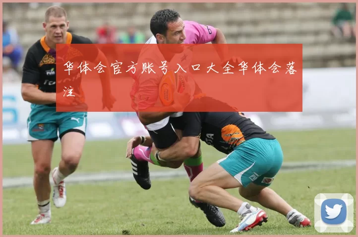 华体会官方账号入口大全华体会落注