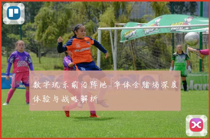 数字玩乐前沿阵地_华体会赌场深度体验与战略解析