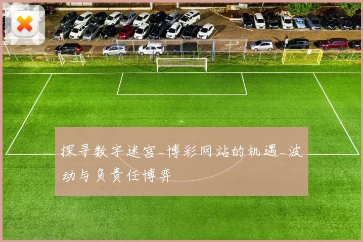 探寻数字迷宫_博彩网站的机遇_波动与负责任博弈