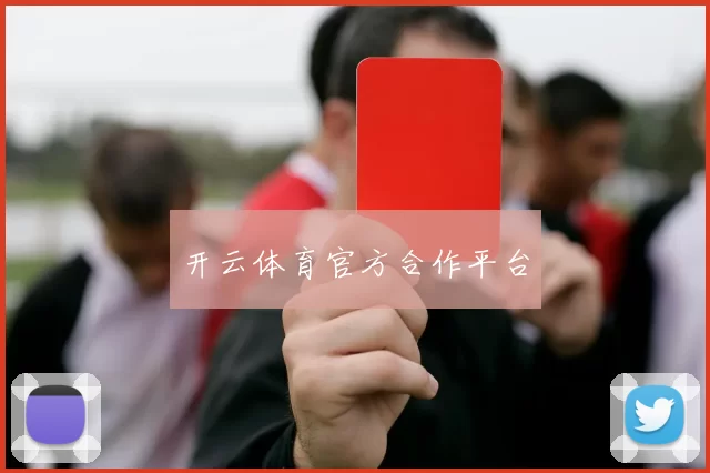 开云体育官方合作平台