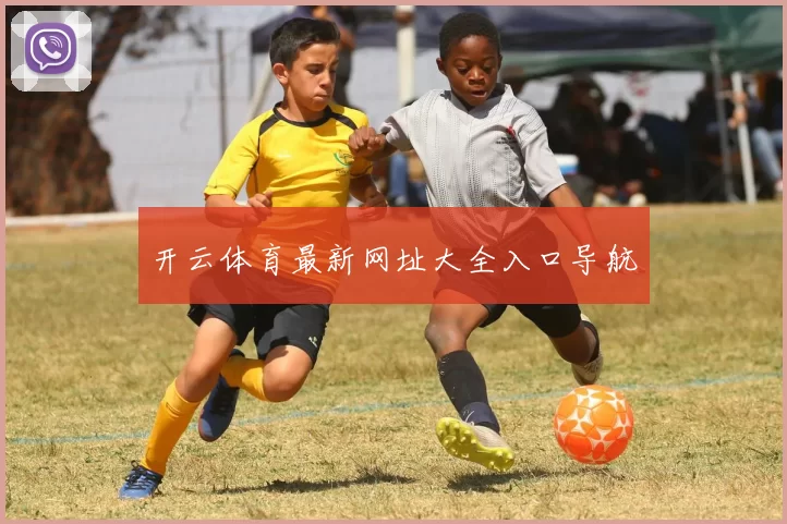 开云体育最新网址大全入口导航