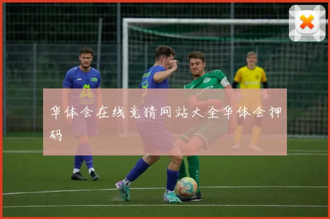 华体会在线竞猜网站大全华体会押码