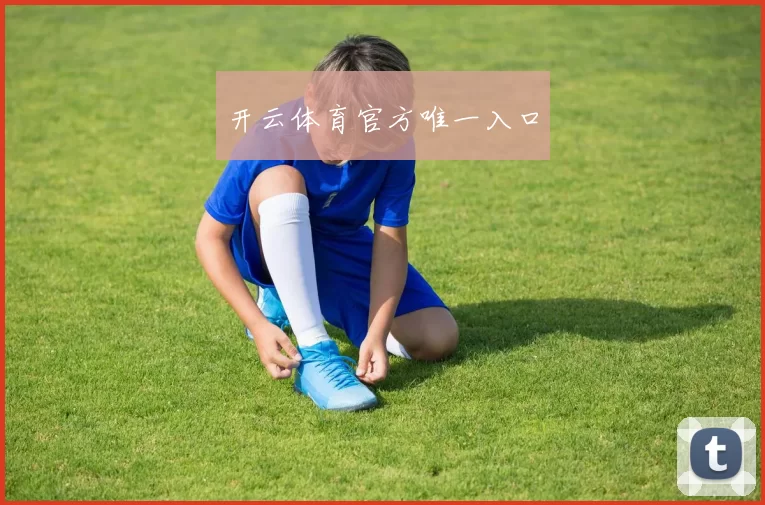 开云体育官方唯一入口