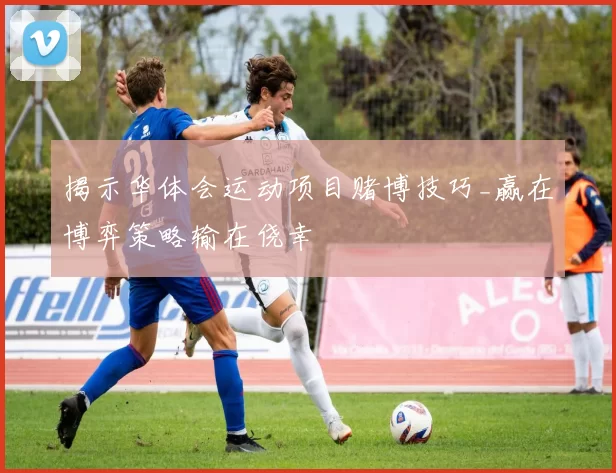 揭示华体会运动项目赌博技巧_赢在博弈策略输在侥幸