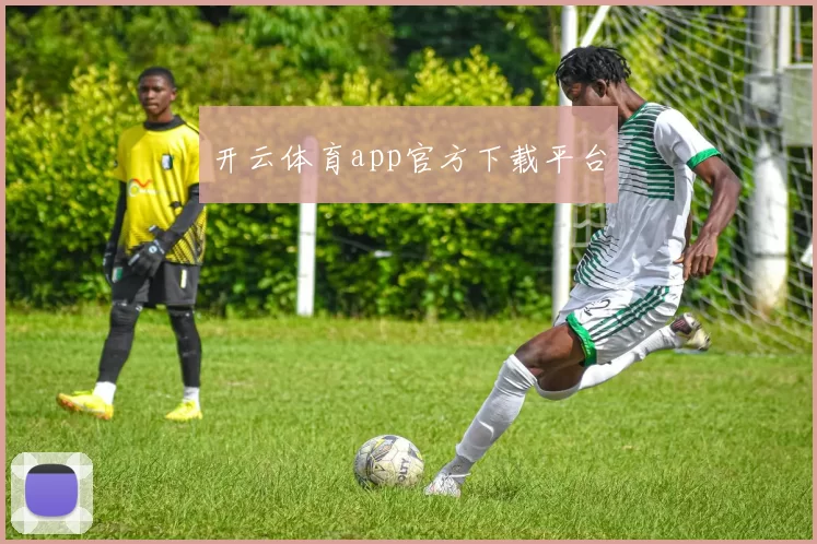 开云体育app官方下载平台