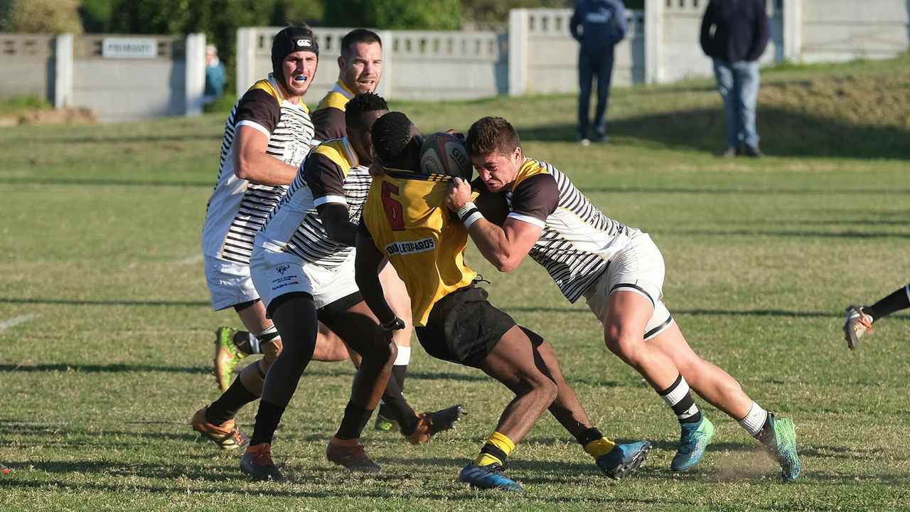 华体会官方登录平台入口