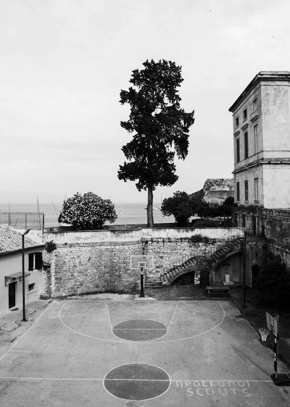 探秘华体会_百万玩家的财富密码与风险博弈