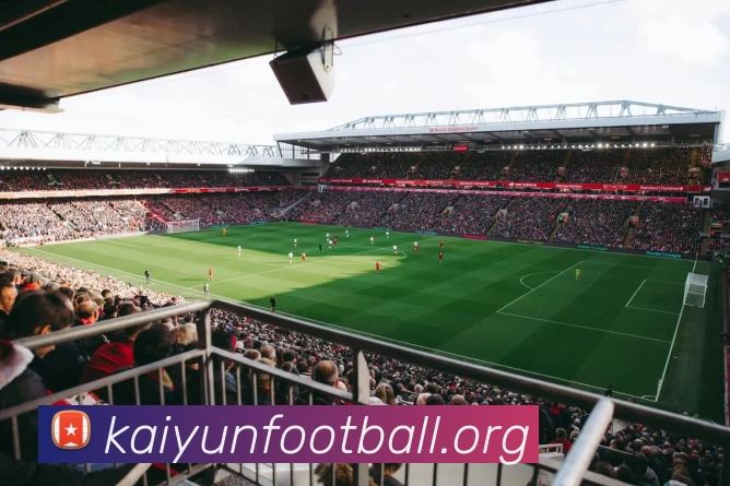 开运体育APP 封面图